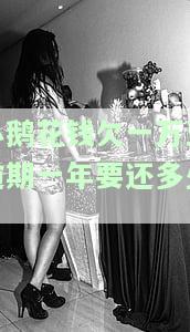 小鹅花钱逾期八千怎么办，如何解决小鹅花钱逾期八千的问题？