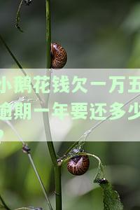 小鹅花钱借一万一年要还多少，小鹅花钱借款一万元，一年后需要偿还多少钱？