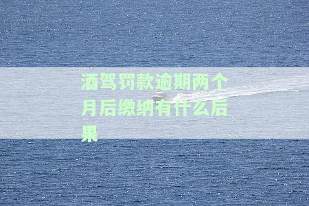 酒驾罚款逾期两个月未缴有何后果？如何处理？