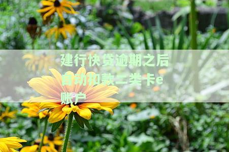 建行快贷是否会从二类卡扣款？安全吗？如何操作？