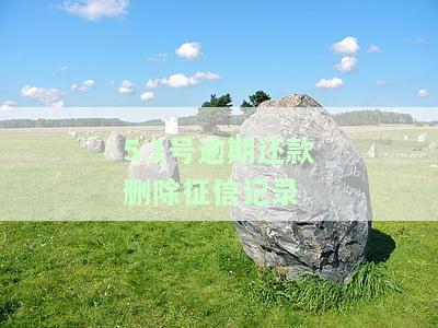 逾期记录清除，解决逾期烦恼：如何清除个人信用报告中的逾期记录？
