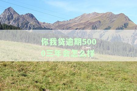你我贷逾期5000三年会怎么样-你我贷逾期5000三年会怎么样吗