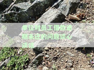 如何进行单位对员工借款逾期未还问题的谈心谈话？