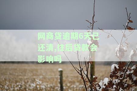 网商贷逾期几天还清后会影响银行贷款吗，网商贷逾期还款后再申请银行贷款会受影响吗？