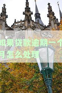 如果贷款逾期一个月怎么处理-如果贷款逾期一个月怎么处理呢