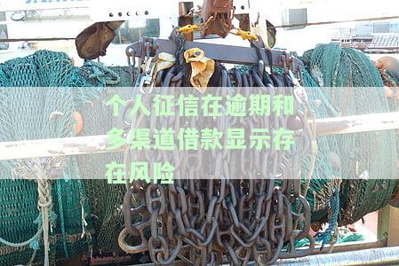 个人征信逾期和多渠道借款显示风险，如何应对？