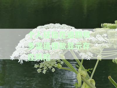 个人征信在逾期和多渠道借款是否存在风险？如何应对？