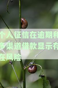 个人征信可能存在风险行为，警惕！你的个人征信可能正面临着这些风险行为
