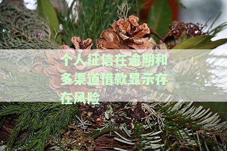 征信可能存在风险，警示：警惕征信风险，保护个人信用记录