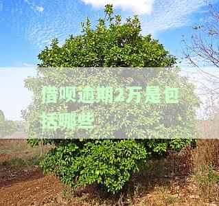 借呗逾期2万是包括哪些-借呗逾期2万是包括哪些费用