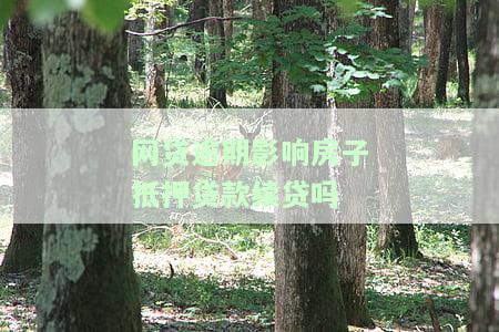 网贷逾期房子贷款受影响，网贷逾期导致房屋贷款受阻，后果严重！