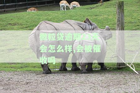 微粒贷逾期23天会怎么样,会被催收吗