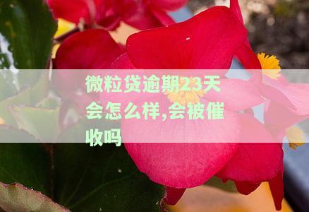 微粒贷逾期23天会怎么样,会被催收吗