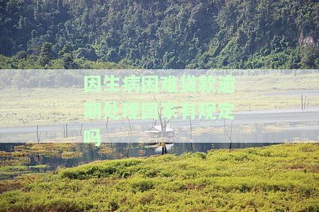 因生病困难贷款逾期处理，国家是否有相关规定？