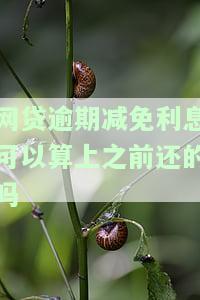 网贷逾期减免结清：可以直接在上操作吗？