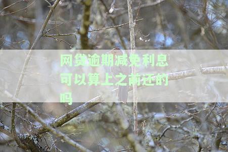 网贷逾期减免利息可以算上之前还的吗