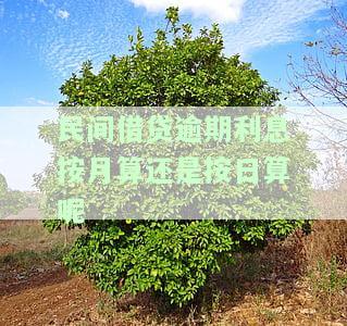 民间借贷逾期利息按月算还是按日算呢，民间借贷逾期利息：按月还是按日计算？