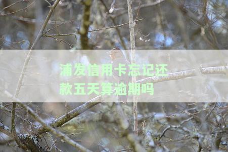 浦发信用卡忘记还款五天算逾期吗？解决方案全在这里！