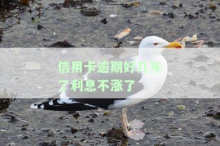 信用卡逾期好几年了，利息是否还继续增长？解决方案是什么？
