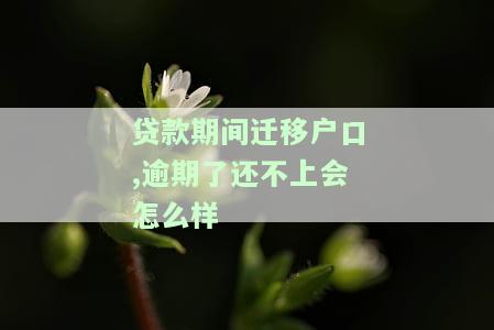 户口迁移贷款有影响么，户口迁移贷款：会对您产生何种影响？
