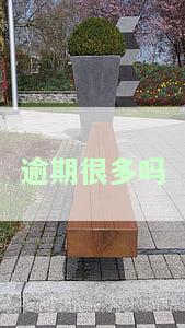 逾期的人多吗？2020年的数据解析