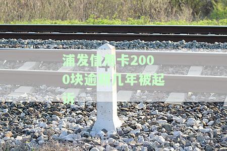 浦发信用卡2000块逾期几年被起诉，如何应对法院传票？