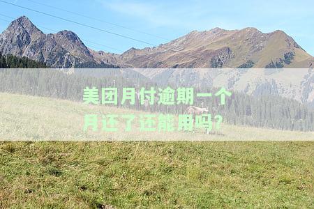美团月付逾期一个月还款后能否继续使用？安全性如何？
