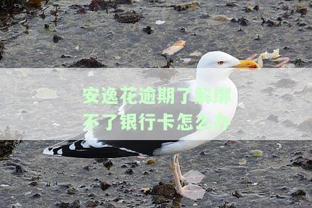 在安逸花借款逾期后，被单方解约取消分期，如何处理？逾期三天被告知关闭还款通道和需支付30%违约金。
