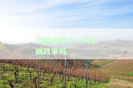 贷款逾期了一天影响政审吗知乎，是否会影响政审？贷款逾期一天的影响探讨