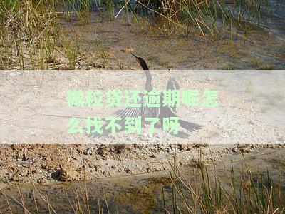 微粒贷逾期还款后不能再借？解决方案全攻略！