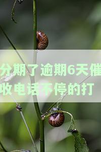 分期公司的催收电话没接会怎么样，忽视分期公司催收电话的后果是什么？