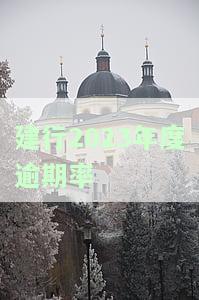 建行2023年度逾期率高吗？全面解析与最新数据