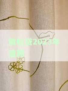 微粒贷2023年逾期-2021年微粒贷逾期