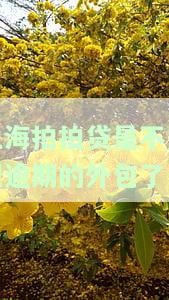 上海拍拍贷是不是把逾期的外包了呢，揭秘：上海拍拍贷是否将逾期业务外包？