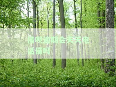 借呗逾期后会天天被催收吗？解决办法与影响解析