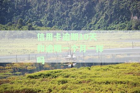 信用卡逾期10天和逾期一个月一样吗知乎，信用卡逾期10天与逾期1个月有何不同？——知乎上的讨论