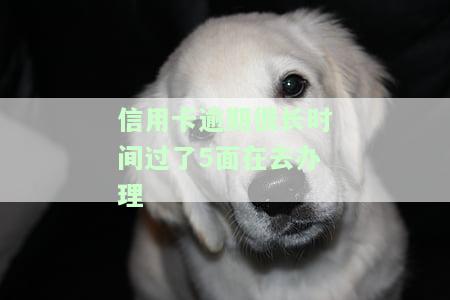 如果你信用卡逾期过办银行卡有关系吗，信用卡逾期是否会影响你申请新的银行卡？