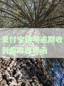 支付宝借呗逾期收到邮政律师函怎么办，收到邮政律师函？教你如何处理支付宝借呗逾期问题