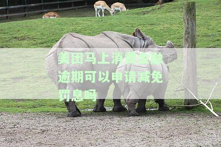 美团融逾期可以先还一部分吗，美团融逾期还款：可以先还一部分吗？