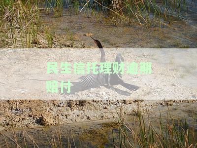 民生信托理财逾期赔付标准：详细解读与计算方法