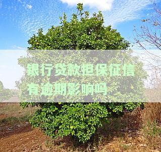 银行贷款担保征信有逾期会影响吗？如何解决？