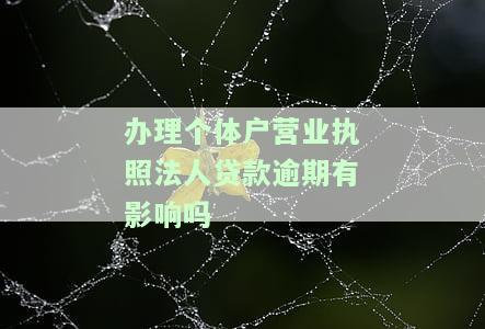 个体营业执照贷款逾期会怎样，个体户营业执照贷款逾期后果严重，你必须了解！