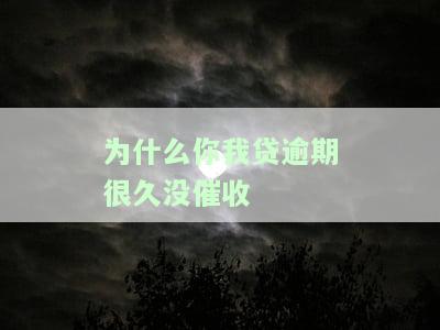 你我贷逾期一年了怎么最近又在发短信了，疑问解答：你我贷逾期一年后为何再次收到催款短信？