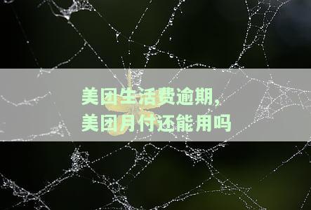 美团生活费逾期,美团月付还能用吗-美团生活费逾期,美团月付还能用吗安全吗