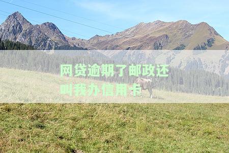 网贷逾期了邮政还叫我办信用卡是真的吗，网贷逾期后，邮政仍要求办理信用卡？真相大揭秘！