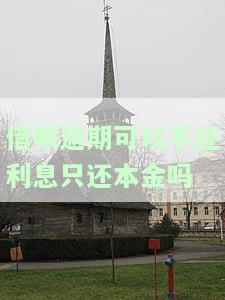 借呗逾期可以不还利息只还本金吗-借呗逾期可以不还利息只还本金吗