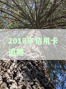 2019年信用卡逾期-2019年信用卡逾期的2023年能不能办抵押贷款