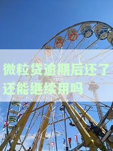 微粒贷逾期后还款，再借款有影响吗？