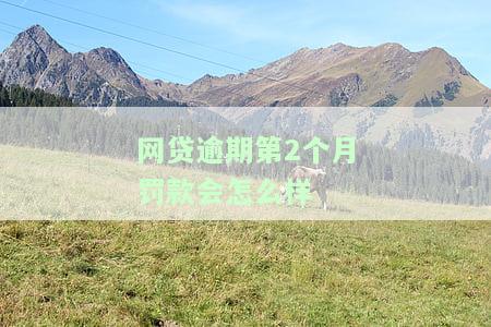 网贷逾期第2个月罚款会怎么样处理，了解网贷逾期第二个月的罚款处理方式
