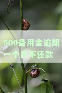 500块钱备用金逾期，逾期500元备用金：影响及解决方案